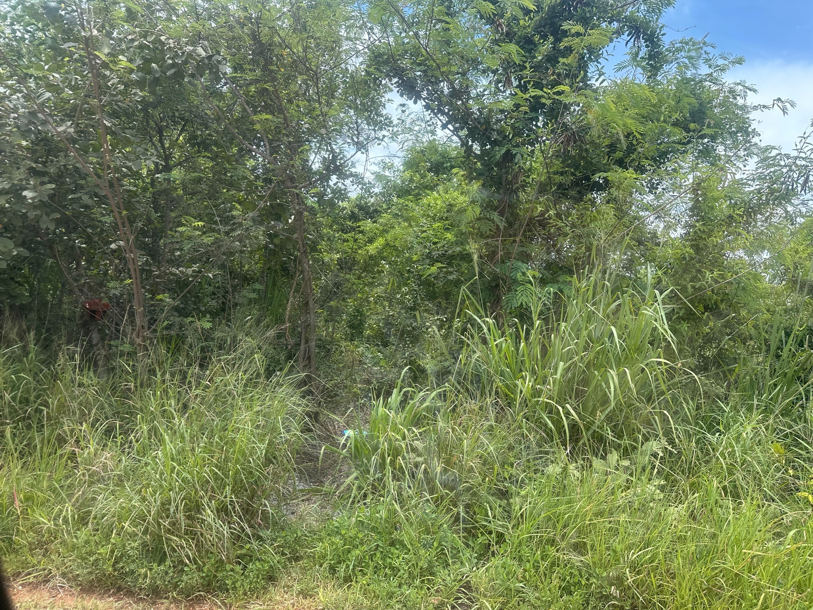 Selling cheap price, empty land, 2 ngan, 2.5 million, width 40 meters, depth 20 meters, near Bueng Nong Khot, interested line @900cqqhk tel 0859114585. – รูปที่ 2