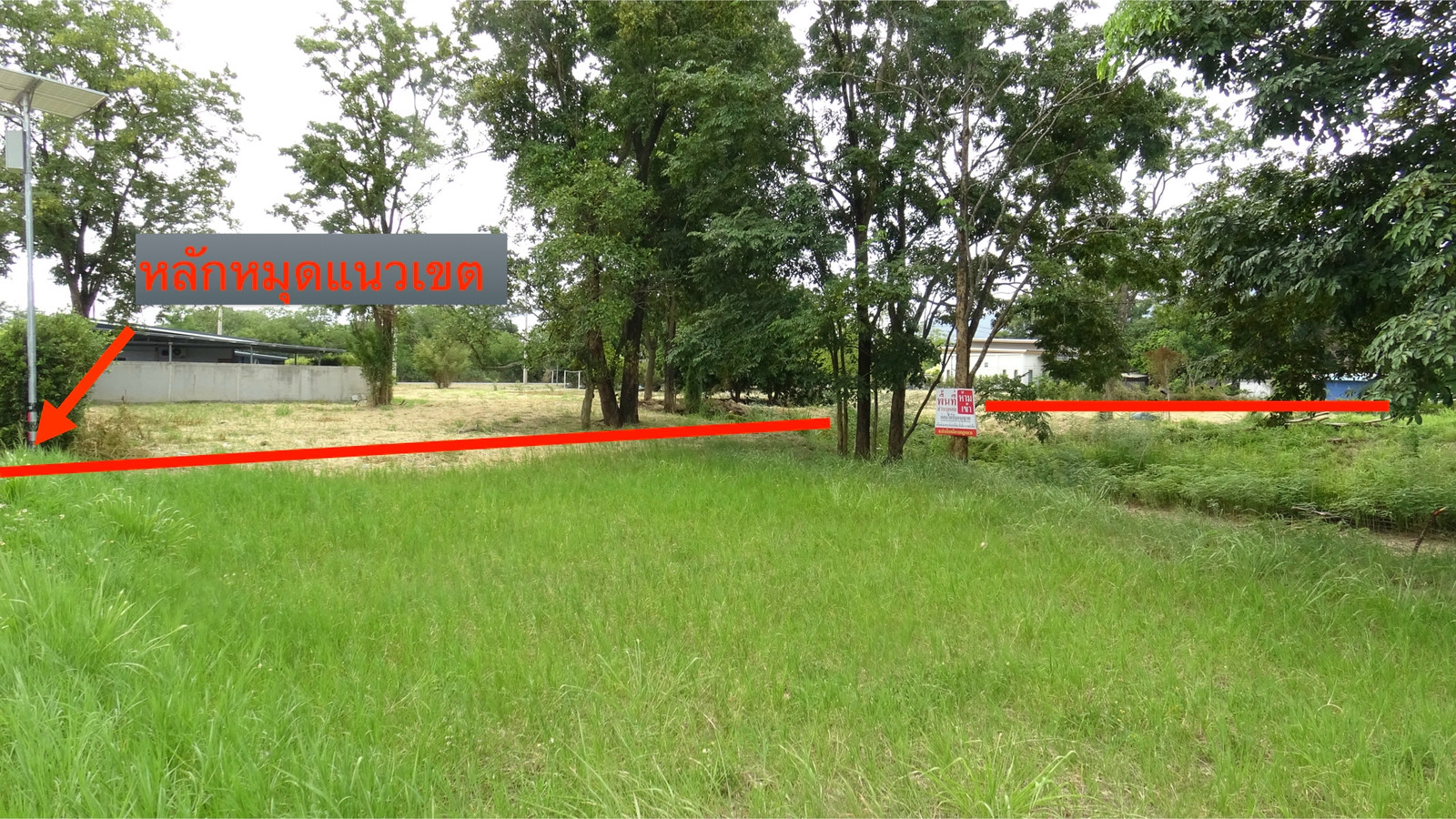 PZ1565 ขาย ที่ดิน เนื้อที่ 1 ไร่ 2 งาน วิวเขาใหญ่ ห่างจากถนนหมายเลข 3052 ถนนสายท่องเที่ยวที่เชื่อมระหว่าง อำเภอปากช่อง และ อำเภอวังน้ำเขียว  เพียง 50 เมตร ตำบลหมูสี อำเภอปากช่อง จังหวัดนครราชสีมา – รูปที่ 3