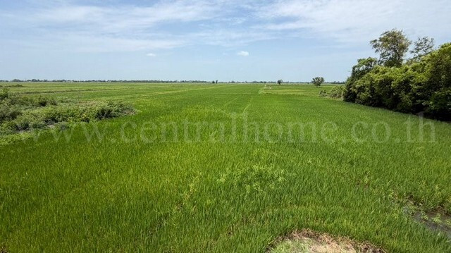 ที่ดิน 4-2-63 ไร่ ต.บางซ้าย พระนครศรีอยุธยา – รูปที่ 4