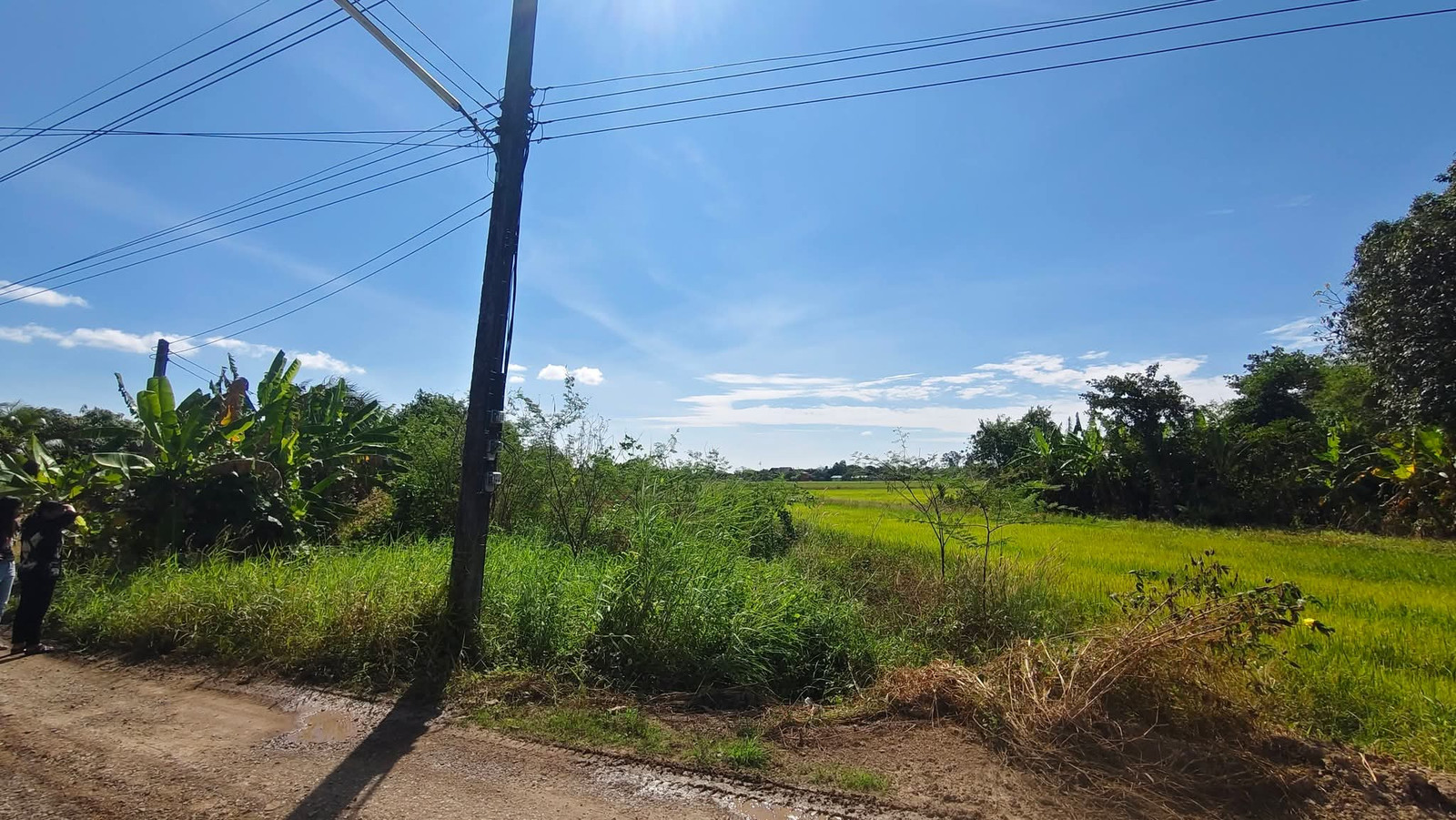 ขายที่นครนายก ต.สาริกา อ.เมือง ใกล้อ่างเก็บน้ำวิวภูเขา ขายที่นครนายก ต.สาริกา อ.เมือง ใกล้อ่างเก็บน้ำวิวภูเขา