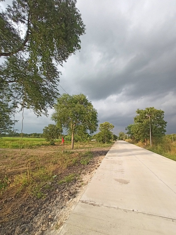 #Beautiful plot, cheapest, good location, next to the road_2_ side at Nong Khae. The cheapest land in this zone at Nong Khae, Saraburi - (550,000.฿ per rai - whole plot 6. rai) T.062-1574449 – รูปที่ 4