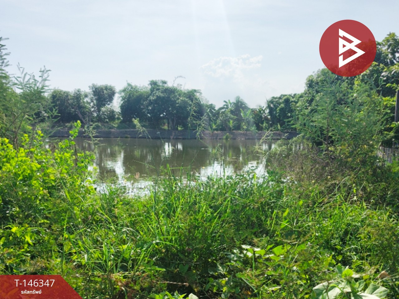 ขายที่ดิน เนื้อที่ 1 งาน บางเสาธง สมุทรปราการ – รูปที่ 2