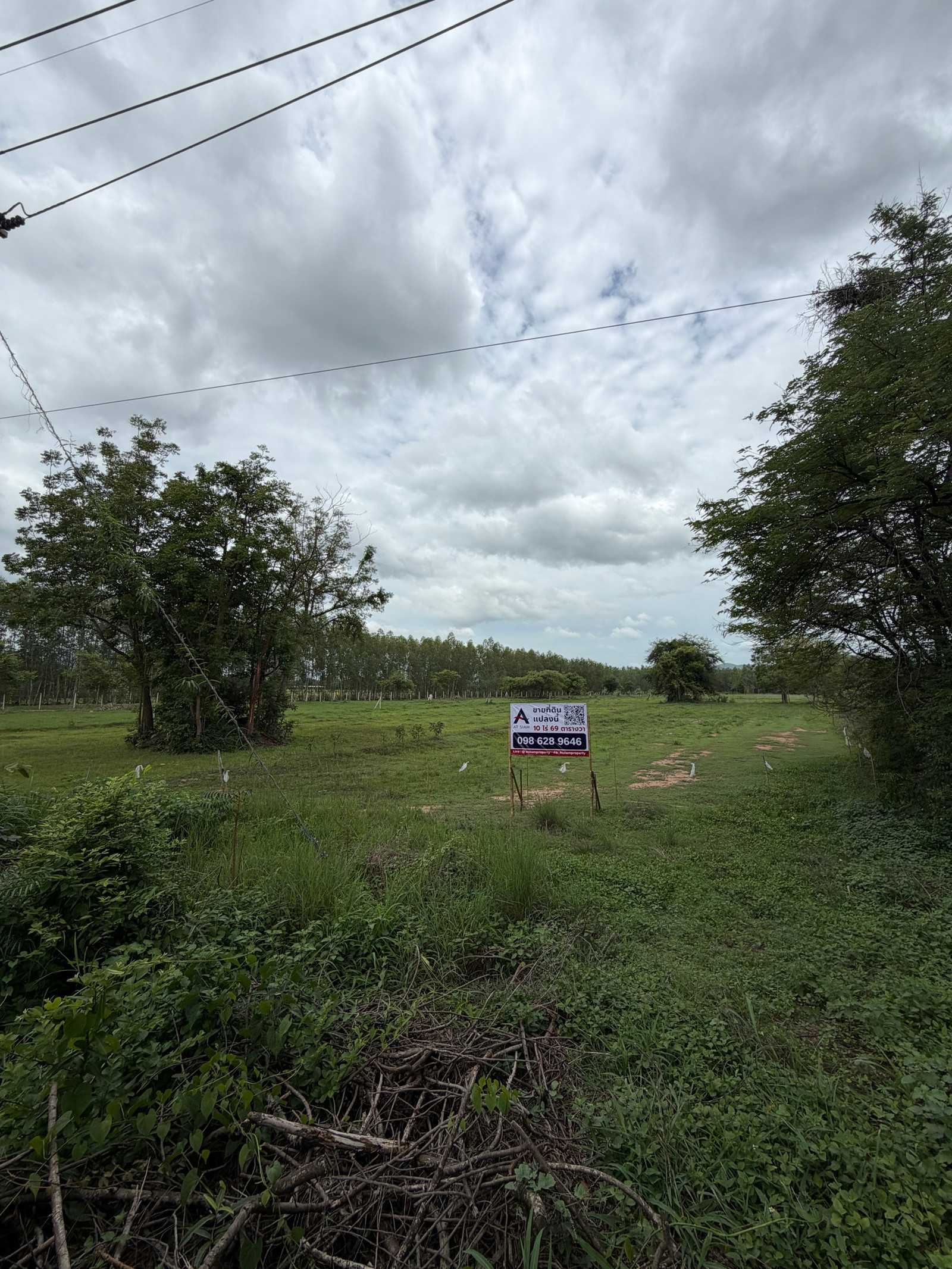 Land for sale, prime location, Ratchaburi, area 10 rai 69 square wah, wide frontage, Huai Yang Thon Subdistrict, Pak Tho District, Ratchaburi Province. – รูปที่ 4