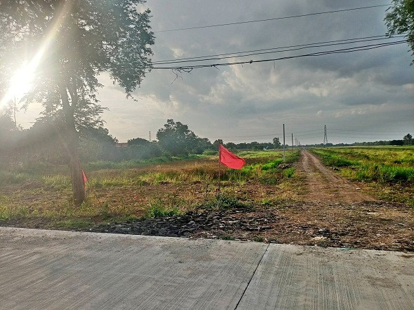 #Beautiful plot, cheapest, good location, next to the road_2_ side at Nong Khae. The cheapest land in this zone at Nong Khae, Saraburi - (550,000.฿ per rai - whole plot 6. rai) T.062-1574449 – รูปที่ 2