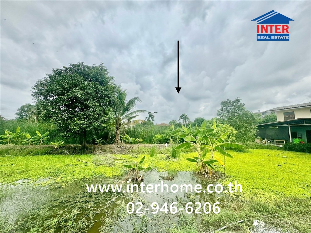 ที่ดินเปล่า 200 ตร.ว. ที่ดิน ติดเอื้ออาทรนนทบุรี ซอยกันตนา ถนนกาญจนาภิเษก ถนนซอยกันตนา บางใหญ่ นนทบุรี ที่ดินเปล่า 200 ตร.ว. ที่ดิน ติดเอื้ออาทรนนทบุรี ซอยกันตนา ถนนกาญจนาภิเษก ถนนซอยกันตนา บางใหญ่ นนทบุรี