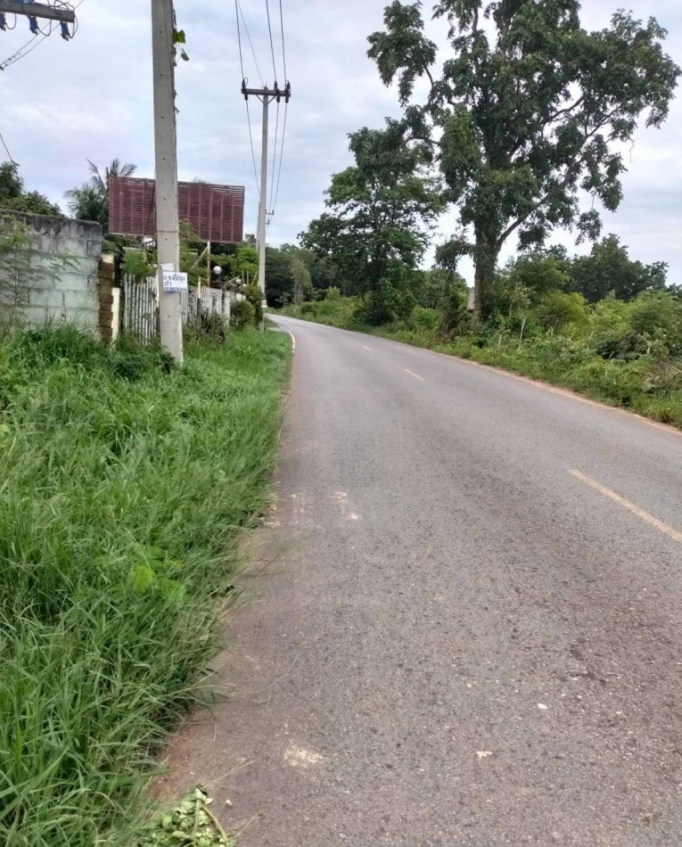 ขายที่ดิน 24-2-28.9 ไร่ ใกล้ถนนหมายเลข 4008 และโรงเรียนขอนแก่นวิเทศศึกษา – รูปที่ 2