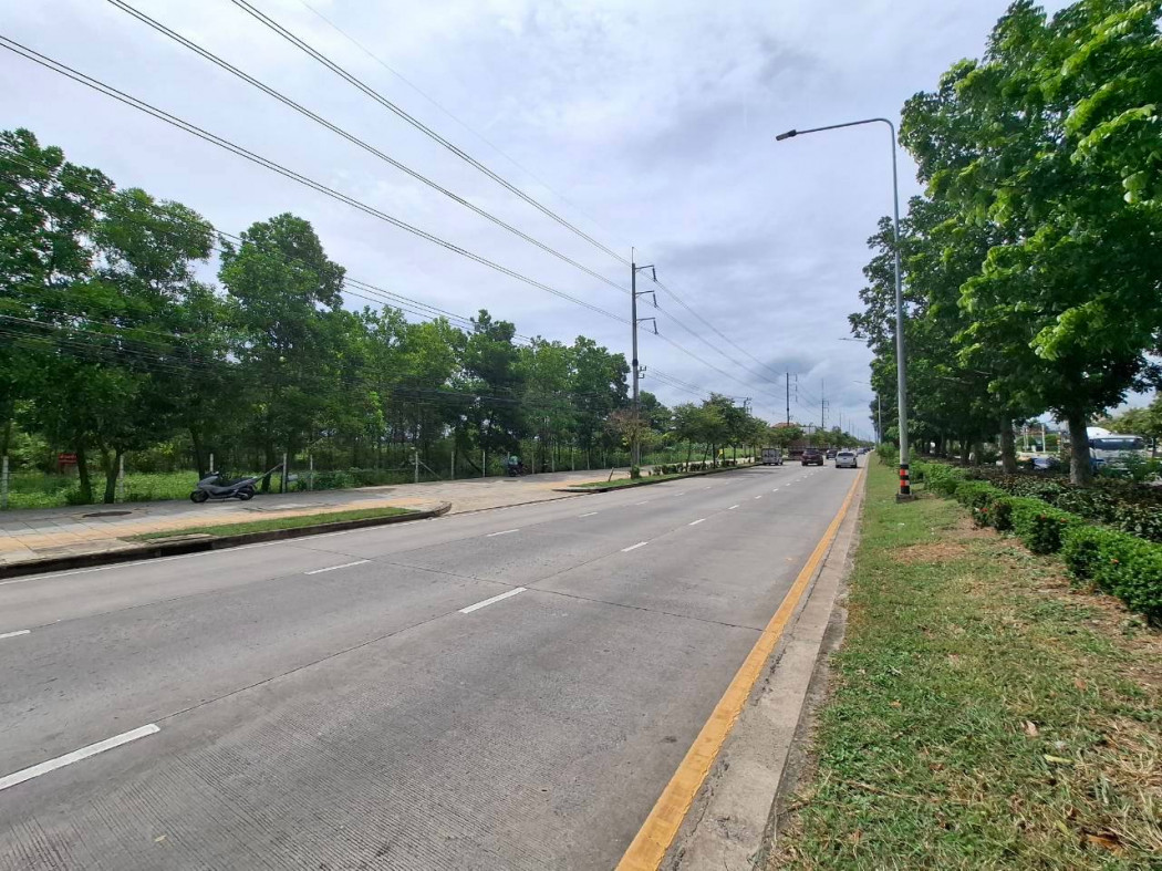 ขาย ที่ดิน ริมถนนพุทธมณฑลสาย 3 ขนาด 15 ไร่กว่า เหมาะทำจัดสรร DD – รูปที่ 2