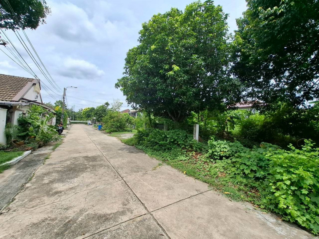 ขาย ที่ดิน หมู่บ้านร่มรื่น ซอยบรมราขขนนี 42 ขนาด 240 ตรว ใกล้ถนนบรมราชชนนีแค่ 230 เมตร KK ขาย ที่ดิน หมู่บ้านร่มรื่น ซอยบรมราขขนนี 42 ขนาด 240 ตรว ใกล้ถนนบรมราชชนนีแค่ 230 เมตร KK