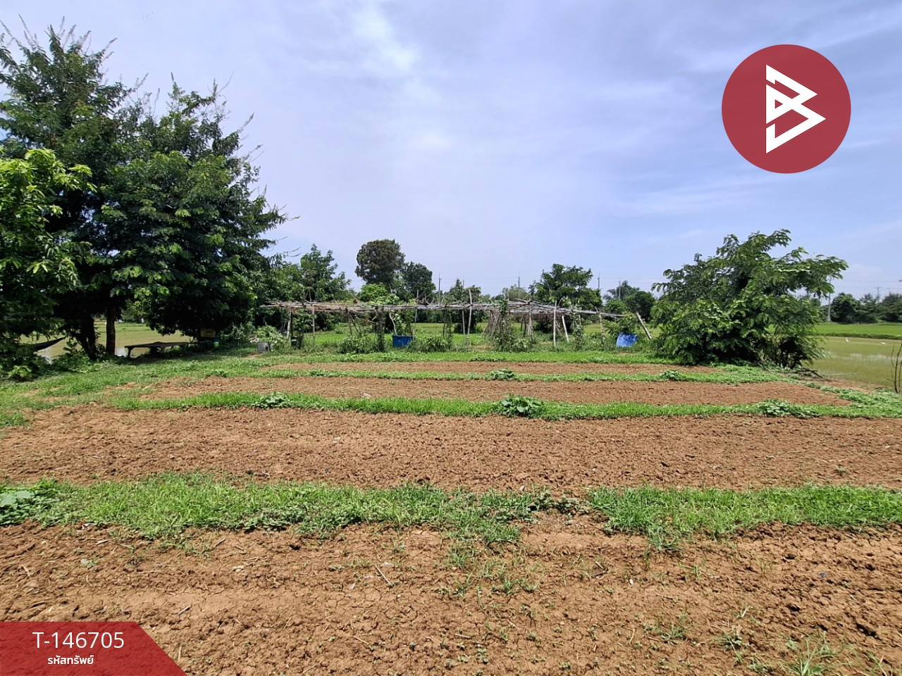 Land for sale, area 200 sq m, Saen Chat Subdistrict, Roi Et, good location near the river. – รูปที่ 4