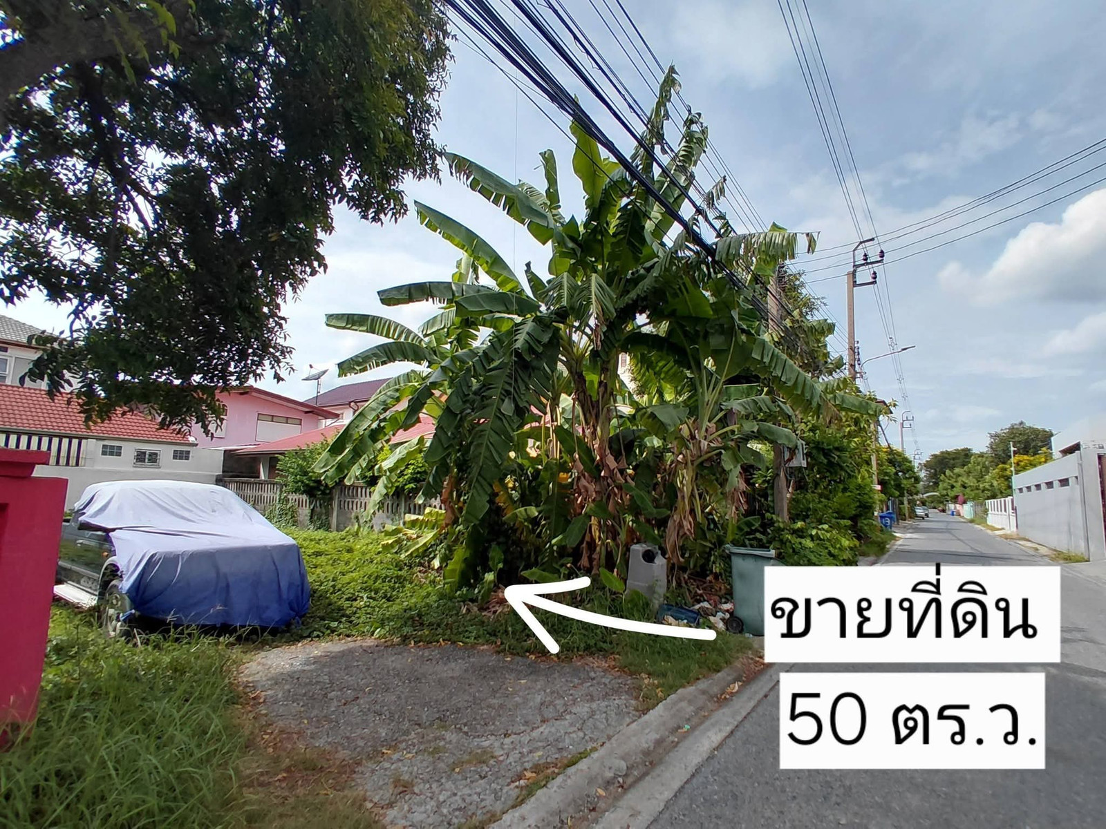 💥ขายที่ดินแปลงสวย (ในซ.หมู่บ้านพลายรัตนะ) ซ.พหลโยธิน54/1 แยก6 เขตบางเขนกทม. 🔥   – รูปที่ 3