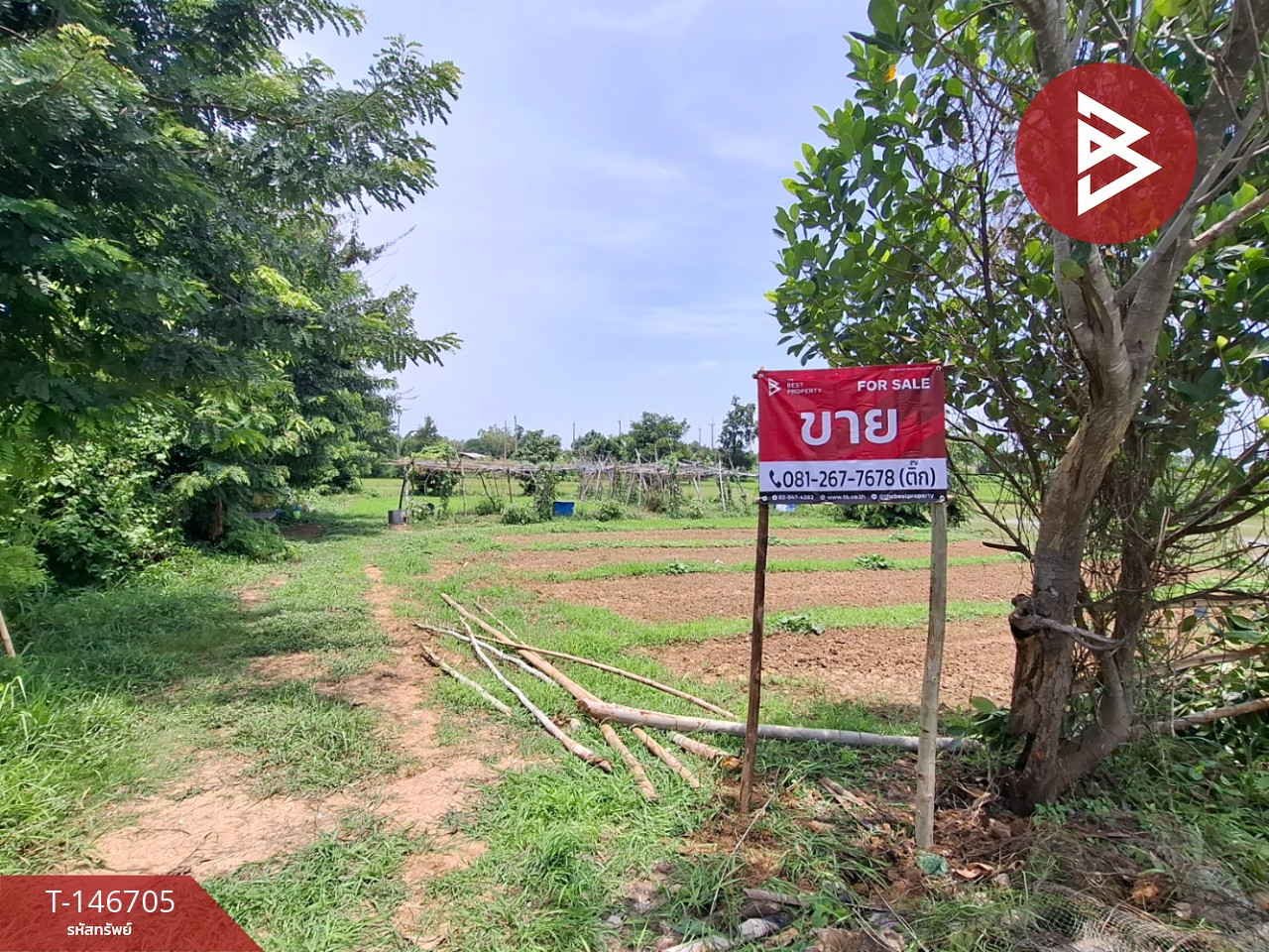 ขายที่ดิน เนื้อที่ 200 ตร.วา ต.แสนชาติ ร้อยเอ็ด ทำเลดีใกล้แม่น้ำ ขายที่ดิน เนื้อที่ 200 ตร.วา ต.แสนชาติ ร้อยเอ็ด ทำเลดีใกล้แม่น้ำ
