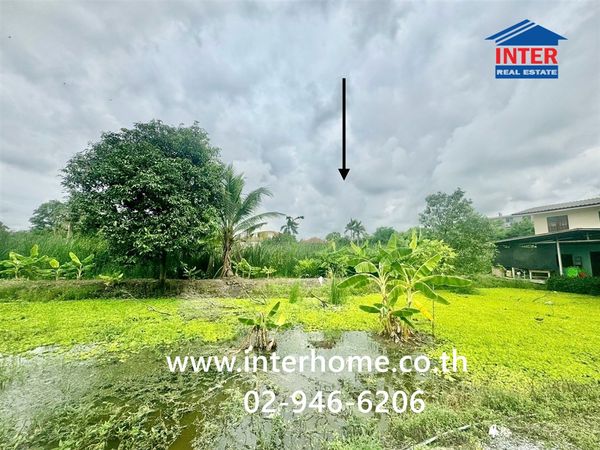 ที่ดินเปล่า 200 ตร.ว. ที่ดิน ติดเอื้ออาทรนนทบุรี ซอยกันตนา ถนนกาญจนาภิเษก ถนนซอยกันตนา บางใหญ่ นนทบุรี