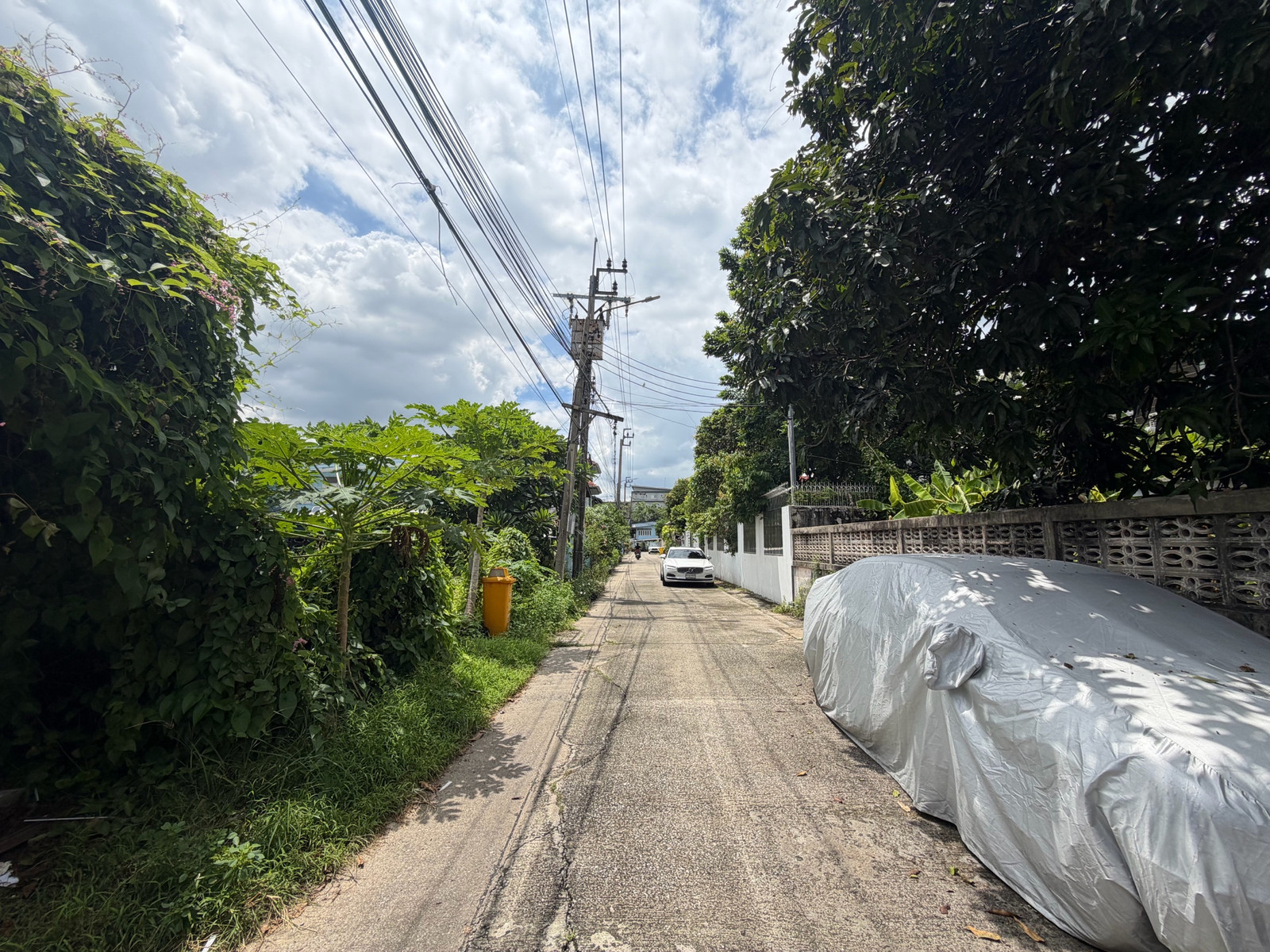 Empty land for sale, Soi Sukhumvit 68, good location near Bangna intersection. – รูปที่ 3