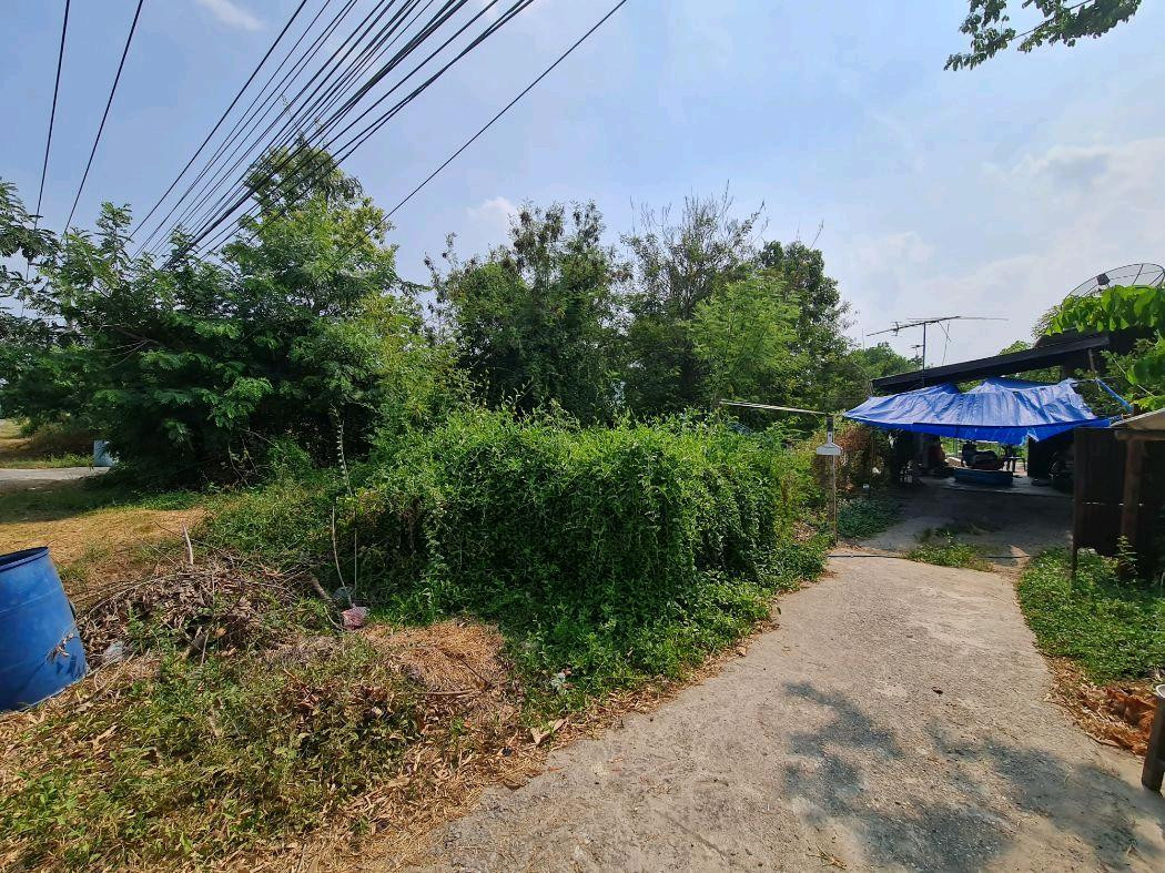 Empty land already filled in, Khlong Chet, near Intharanavirat Utpatham School. – รูปที่ 4