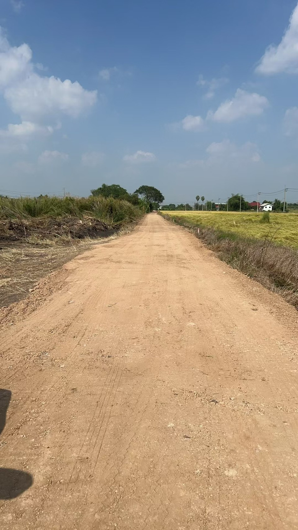 Land for sale in Khu Khwang Subdistrict Lat Lum Kaeo District, Pathum Thani, can build a factory, area 4 rai. – รูปที่ 2
