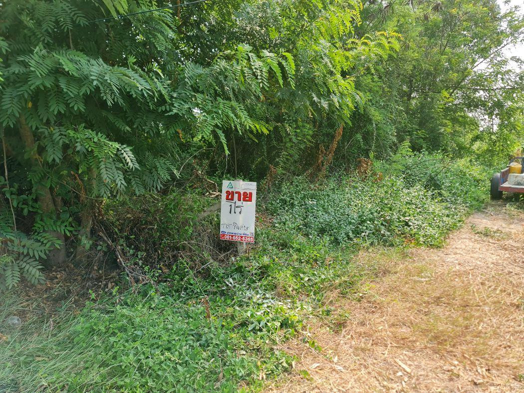 Empty land already filled in, Khlong Chet, near Intharanavirat Utpatham School. – รูปที่ 2