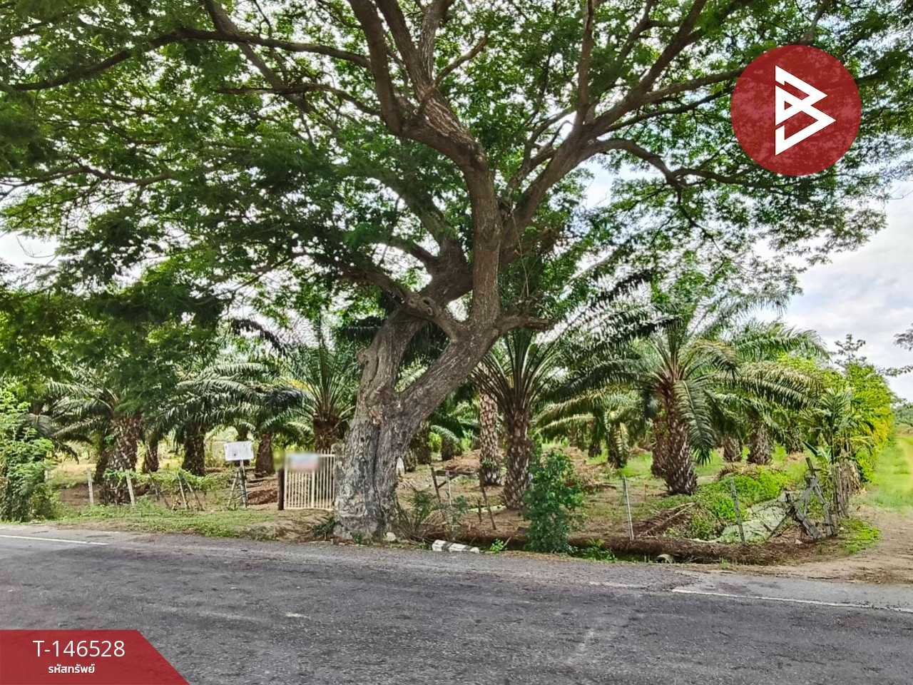 Land for sale with garden, area 4 rai 2 ngan 58 sq m, Cha-am, Phetchaburi. – รูปที่ 3