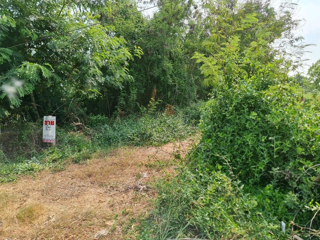 Empty land already filled in, Khlong Chet, near Intharanavirat Utpatham School. Empty land already filled in, Khlong Chet, near Intharanavirat Utpatham School.