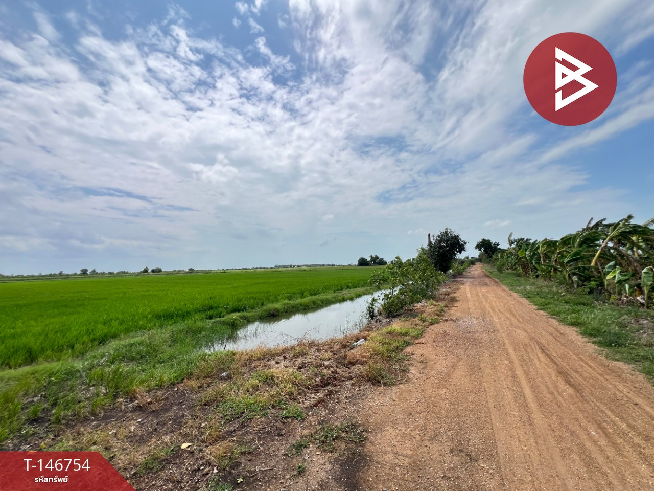 ขายที่ดิน เนื้อที่ 10 ไร่ 3 งาน 56 ตร.วา ลาดบัวหลวง พระนครศรีอยุธยา – รูปที่ 2