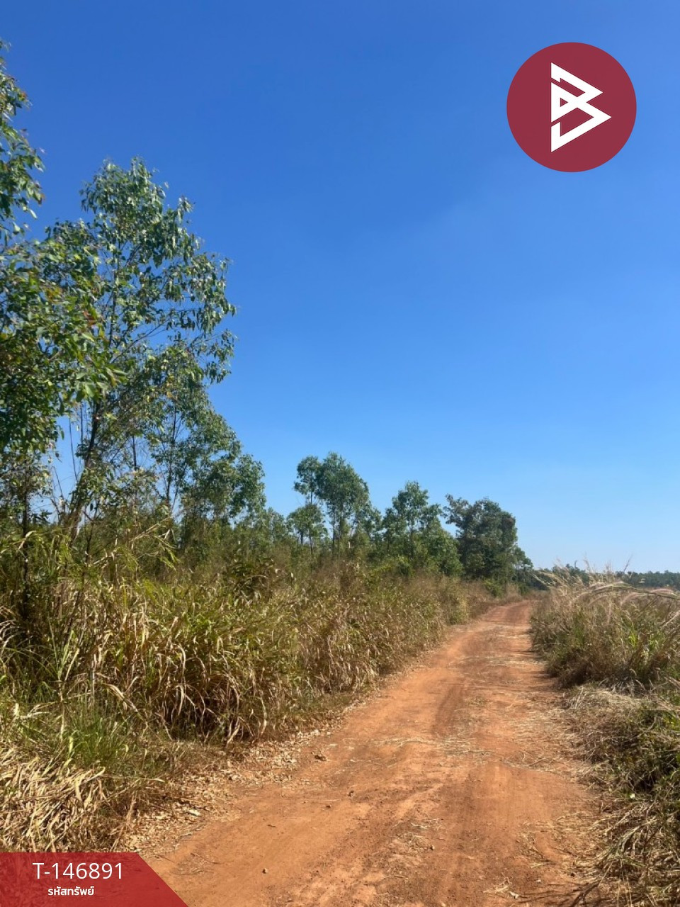 ขายที่ดิน เนื้อที่ 34 ไร่ 1งาน 75 ตารางวา อ.กบินทร์บุรี ปราจีนบุรี – รูปที่ 3