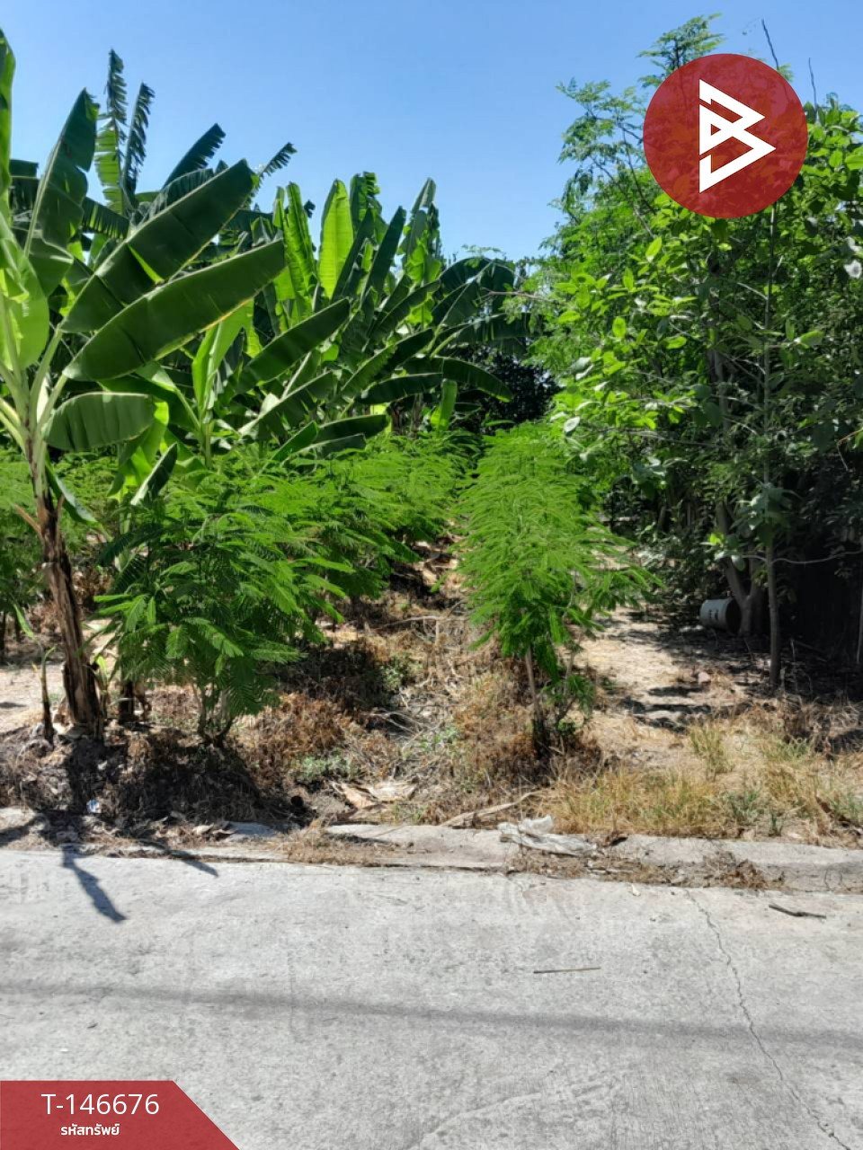 Land for sale, area 1 ngan 50 sq m, Ban Phaeo, Samut Sakhon – รูปที่ 2