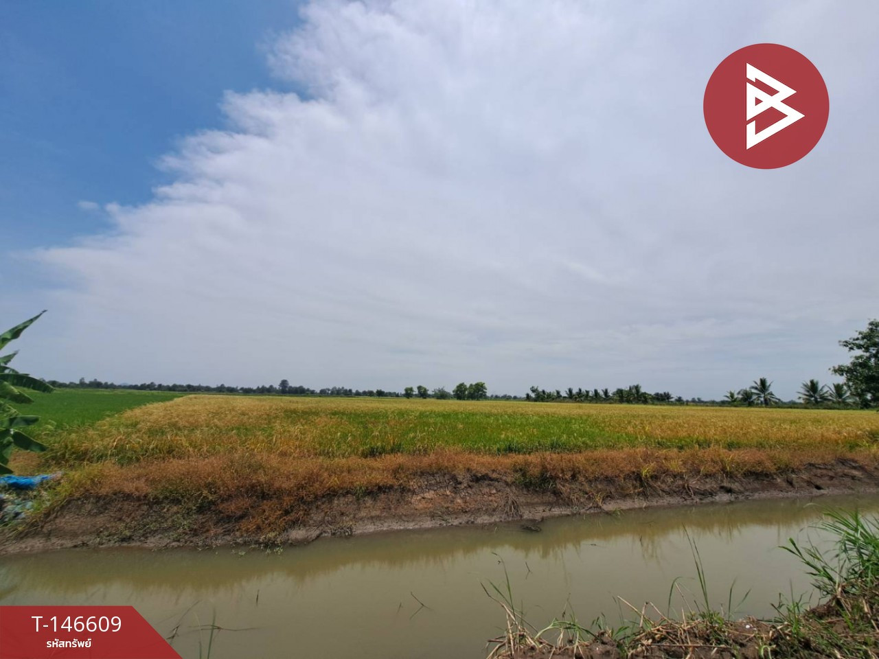 ขายที่ดิน เนื้อที่ 3 ไร่ 3 งาน 48 ตร.วา เก้าเลี้ยว นครสวรรค์ – รูปที่ 2