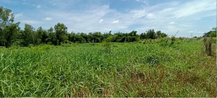 Land for sale in Khu Khwang Subdistrict Lat Lum Kaeo District, Pathum Thani, can build a factory, area 4 rai. – รูปที่ 3
