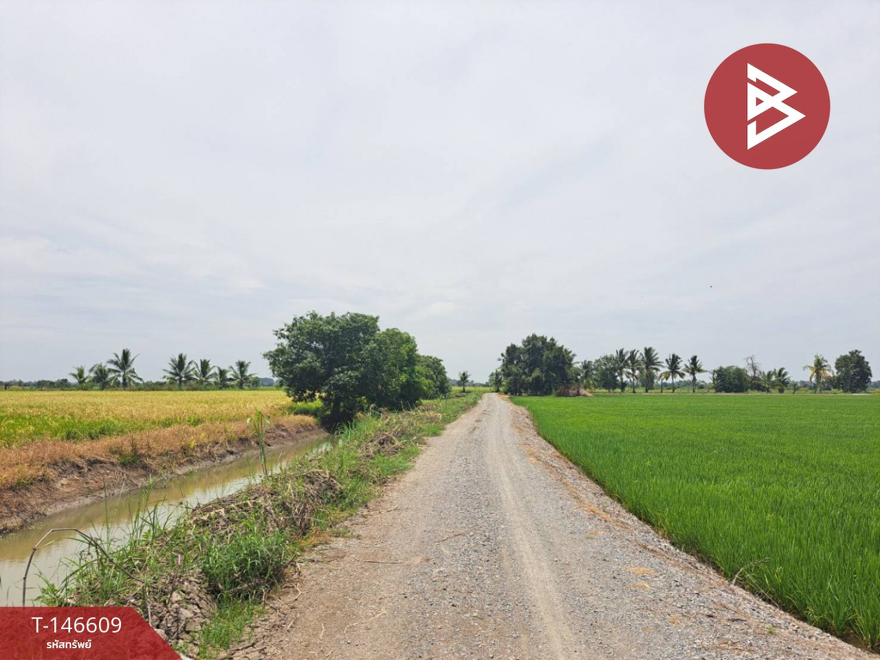 ขายที่ดิน เนื้อที่ 3 ไร่ 3 งาน 48 ตร.วา เก้าเลี้ยว นครสวรรค์ – รูปที่ 4