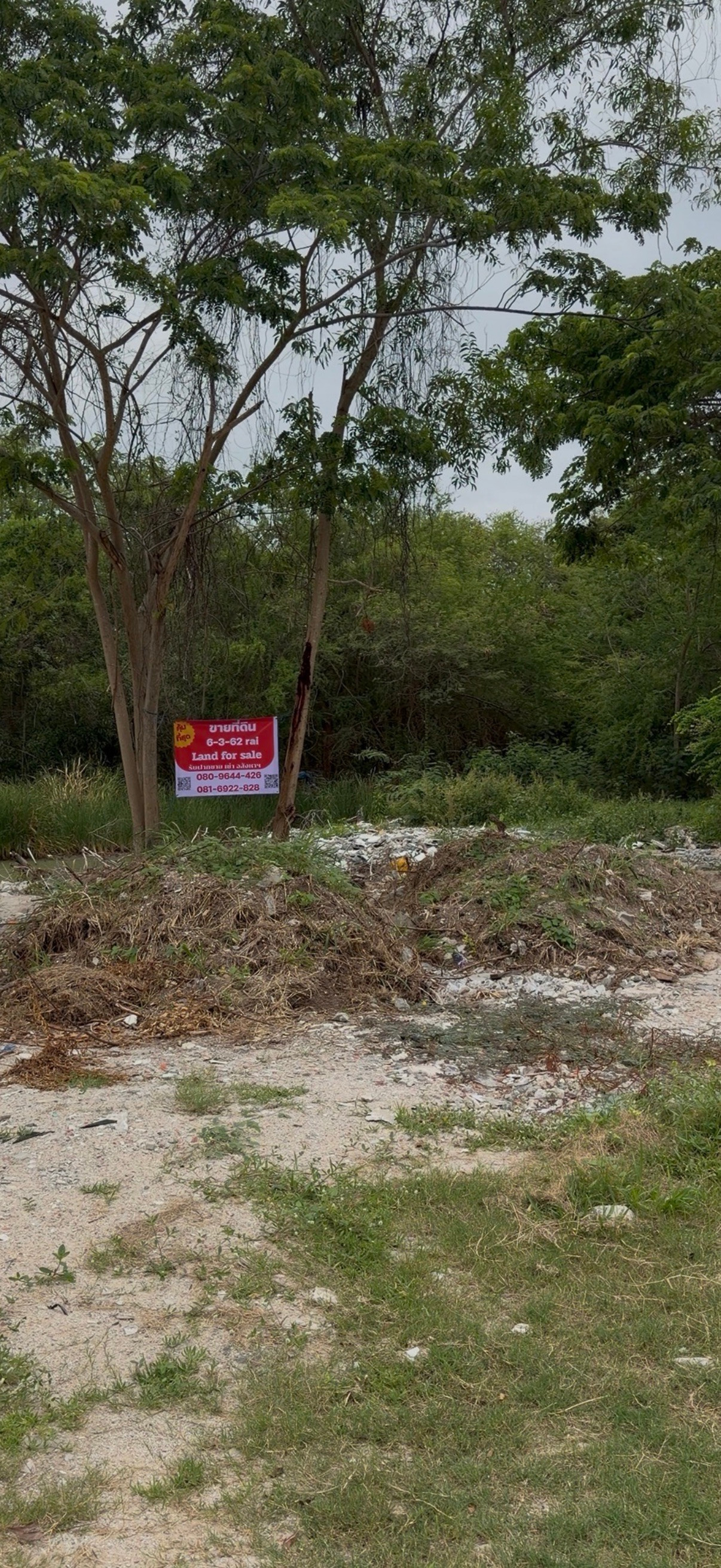 Land for sale in a potential location in Rayong City, area 6 rai 3 ngan 62 sq m, good location, red layout, location in the heart of the community, convenient travel, connecting to main roads. Convenient entry and exit Land for sale in a potential location in Rayong City, area 6 rai 3 ngan 62 sq m, good location, red layout, location in the heart of the community, convenient travel, connecting to main roads. Convenient entry and exit