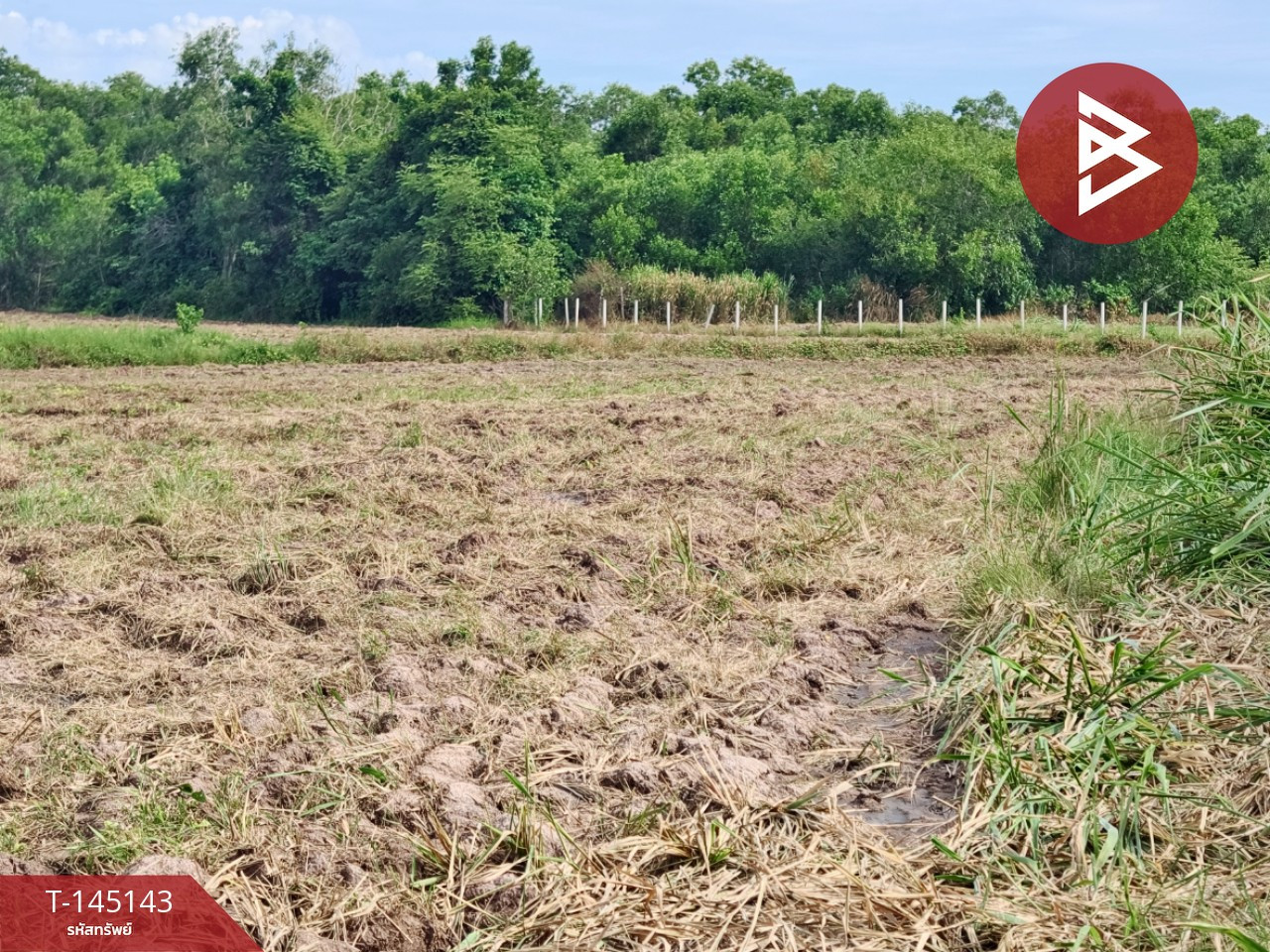 Land for sale, area 26 rai 96.6 sq m, Sanam Chai Khet, Chachoengsao. – รูปที่ 3