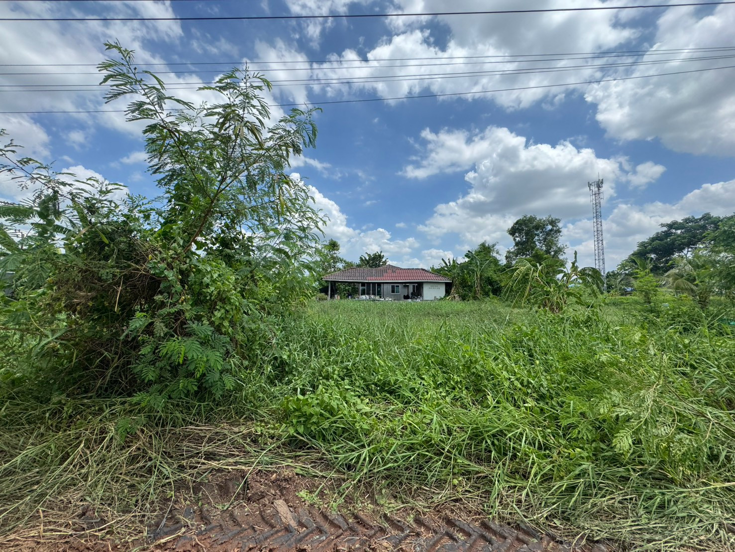ที่ดิน ซอยร่วมมิตร เลียบวารี 59 ถนนเลียบวารี หนองจอก – รูปที่ 3