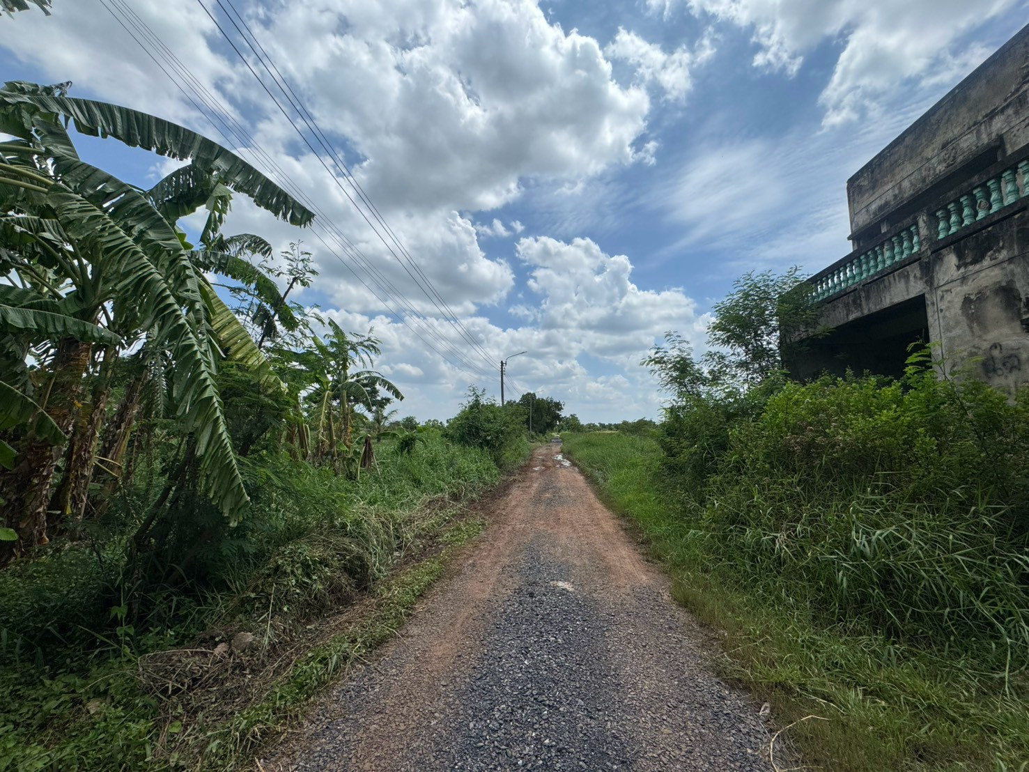 ที่ดิน ซอยร่วมมิตร เลียบวารี 59 ถนนเลียบวารี หนองจอก ที่ดิน ซอยร่วมมิตร เลียบวารี 59 ถนนเลียบวารี หนองจอก
