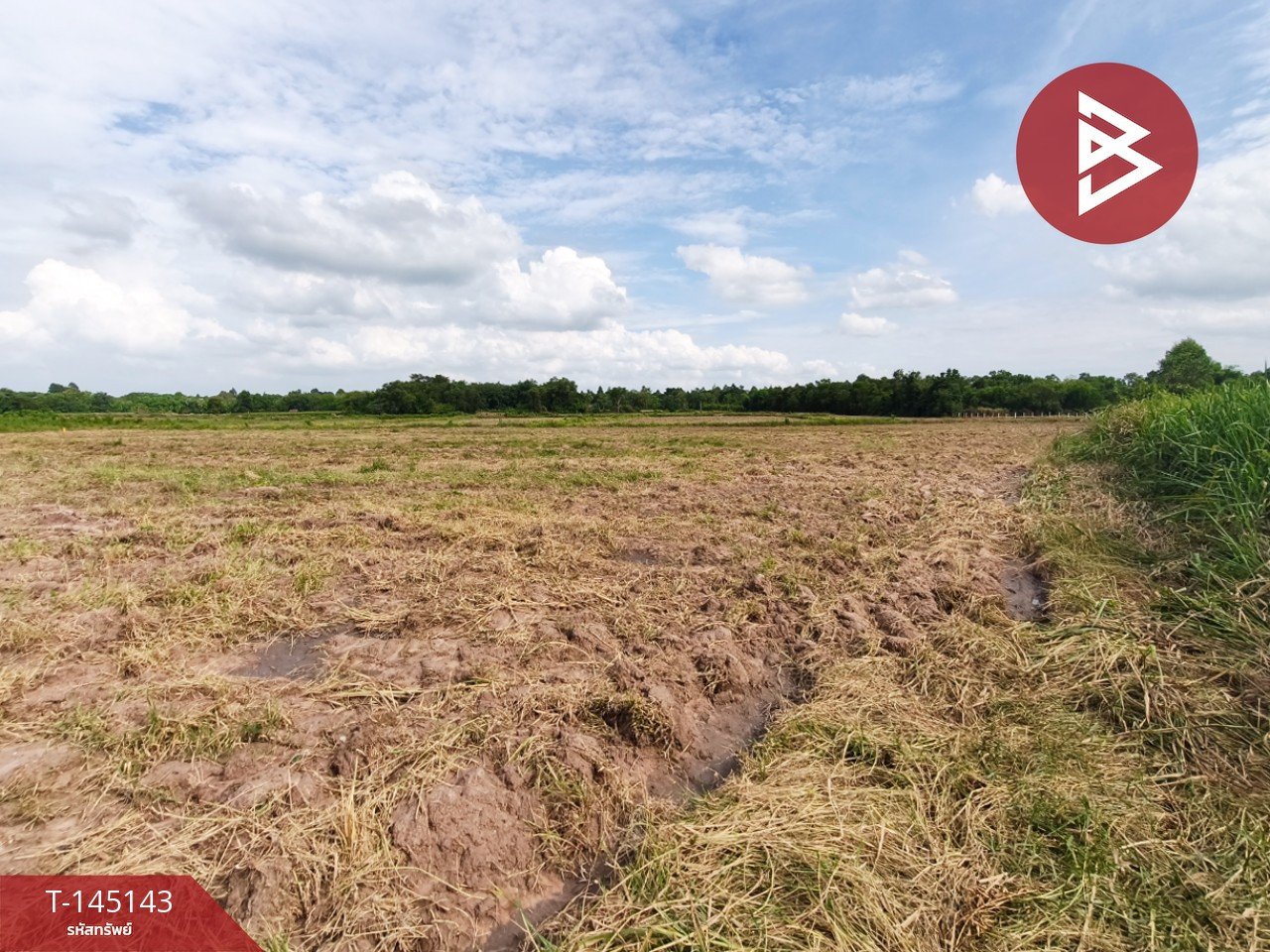 Land for sale, area 26 rai 96.6 sq m, Sanam Chai Khet, Chachoengsao. Land for sale, area 26 rai 96.6 sq m, Sanam Chai Khet, Chachoengsao.