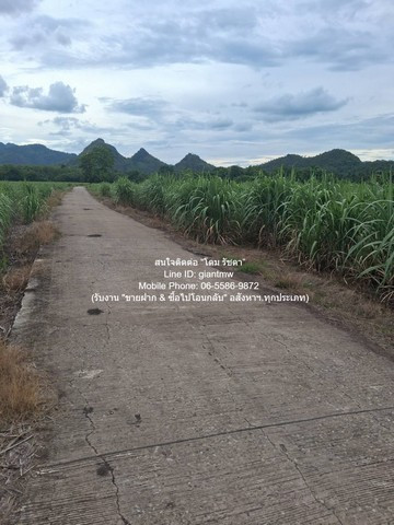 DSL-1351 Land for sale, Rai Oi land for sale (N.S. 3 Kor) 19-2-21 rai, Huai Yang Subdistrict, Khon San District, Chaiyaphum Province, price 9.78 million baht, Chaiyaphum 9780000 baht, 19 rai 2 ngan 7821 sq m, close to Khon Sarawittaya School. DSL-1351 Land for sale, Rai Oi land for sale (N.S. 3 Kor) 19-2-21 rai, Huai Yang Subdistrict, Khon San District, Chaiyaphum Province, price 9.78 million baht, Chaiyaphum 9780000 baht, 19 rai 2 ngan 7821 sq m, close to Khon Sarawittaya School.
