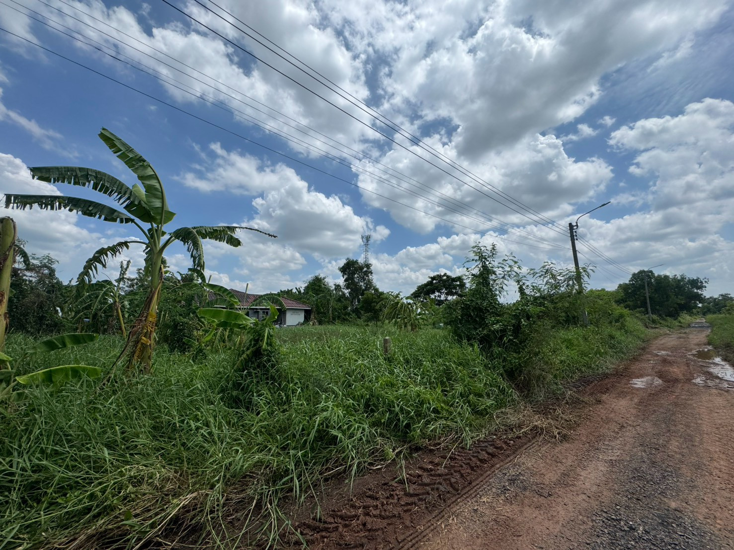 ที่ดิน ซอยร่วมมิตร เลียบวารี 59 ถนนเลียบวารี หนองจอก – รูปที่ 2