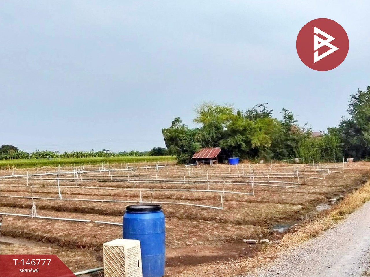 Empty land for sale, area 4 rai 3 ngan 3 sq m, Don Tum, Nakhon Pathom. – รูปที่ 3