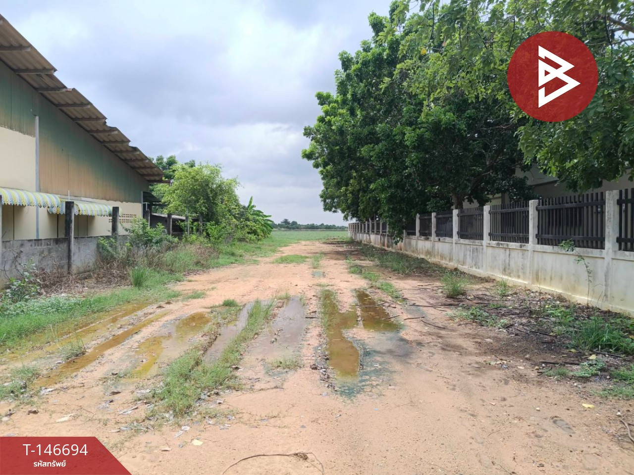 ขายที่ดิน เนื้อที่ 36 ไร่ 1 งาน 67.5 ตร.วา บ้านโพธิ์ ฉะเชิงเทรา – รูปที่ 4