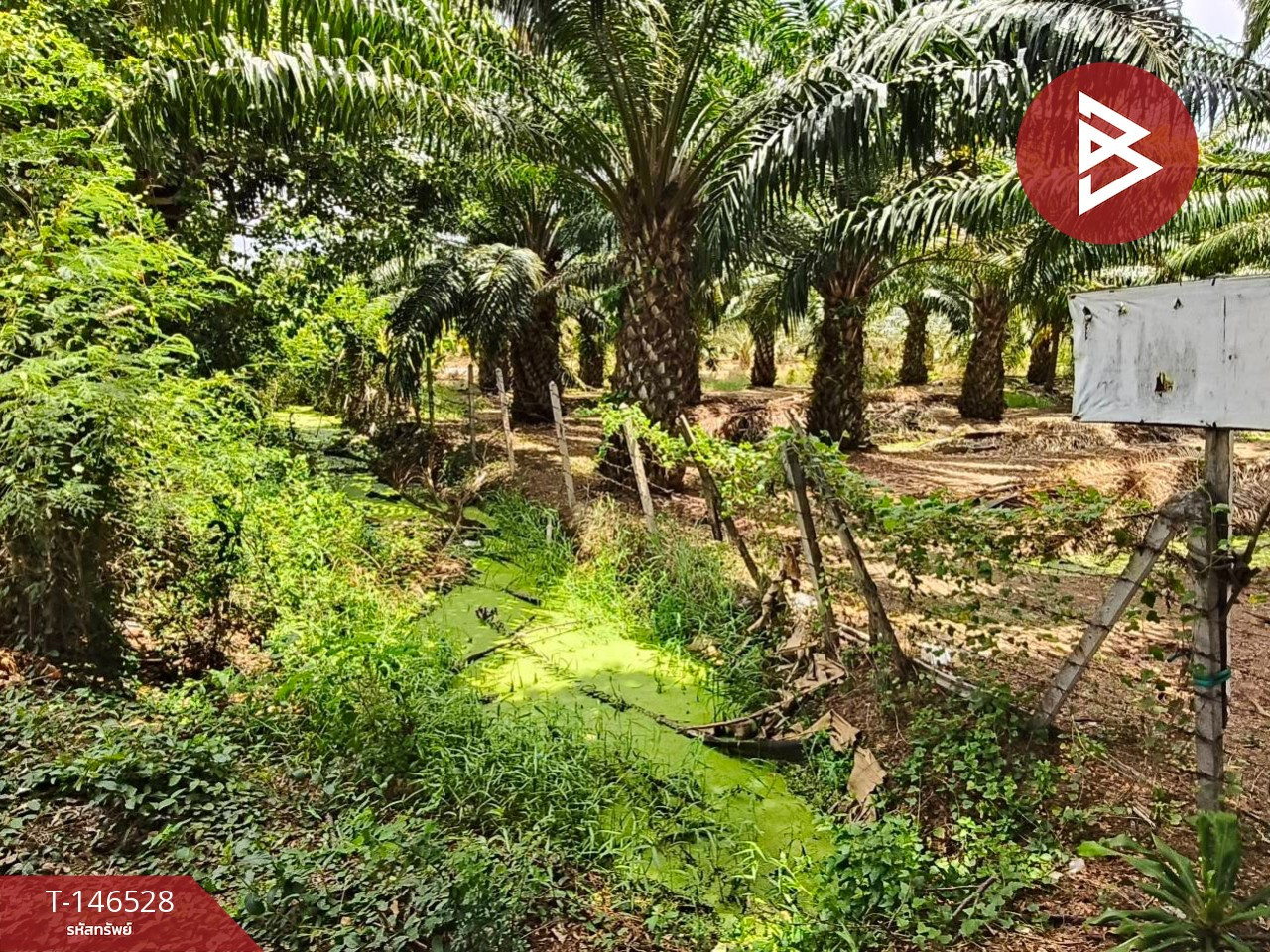 Land for sale with garden, area 4 rai 2 ngan 58 sq m, Cha-am, Phetchaburi. – รูปที่ 2
