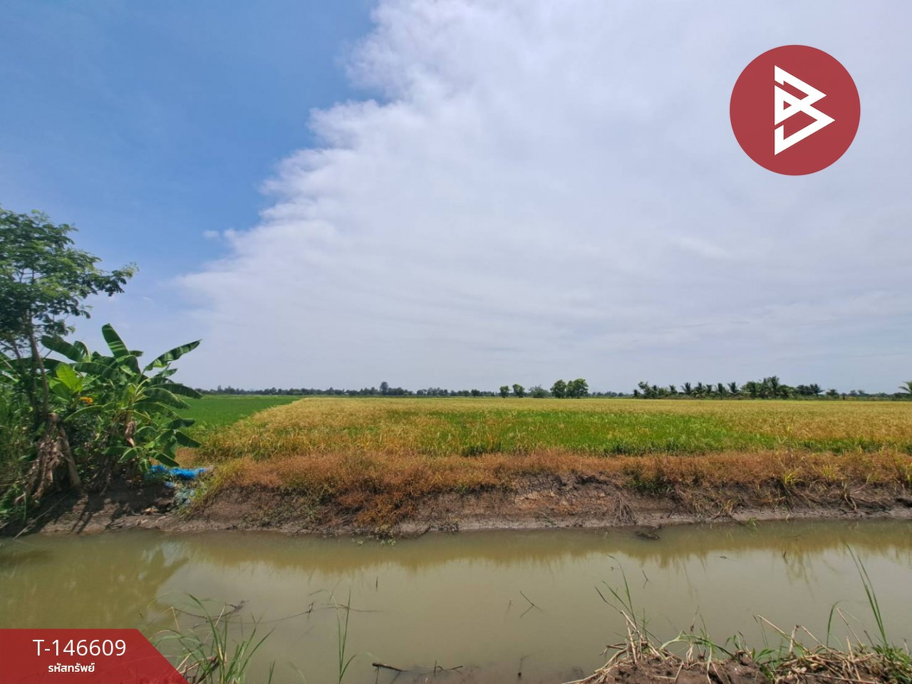 ขายที่ดิน เนื้อที่ 3 ไร่ 3 งาน 48 ตร.วา เก้าเลี้ยว นครสวรรค์ ขายที่ดิน เนื้อที่ 3 ไร่ 3 งาน 48 ตร.วา เก้าเลี้ยว นครสวรรค์