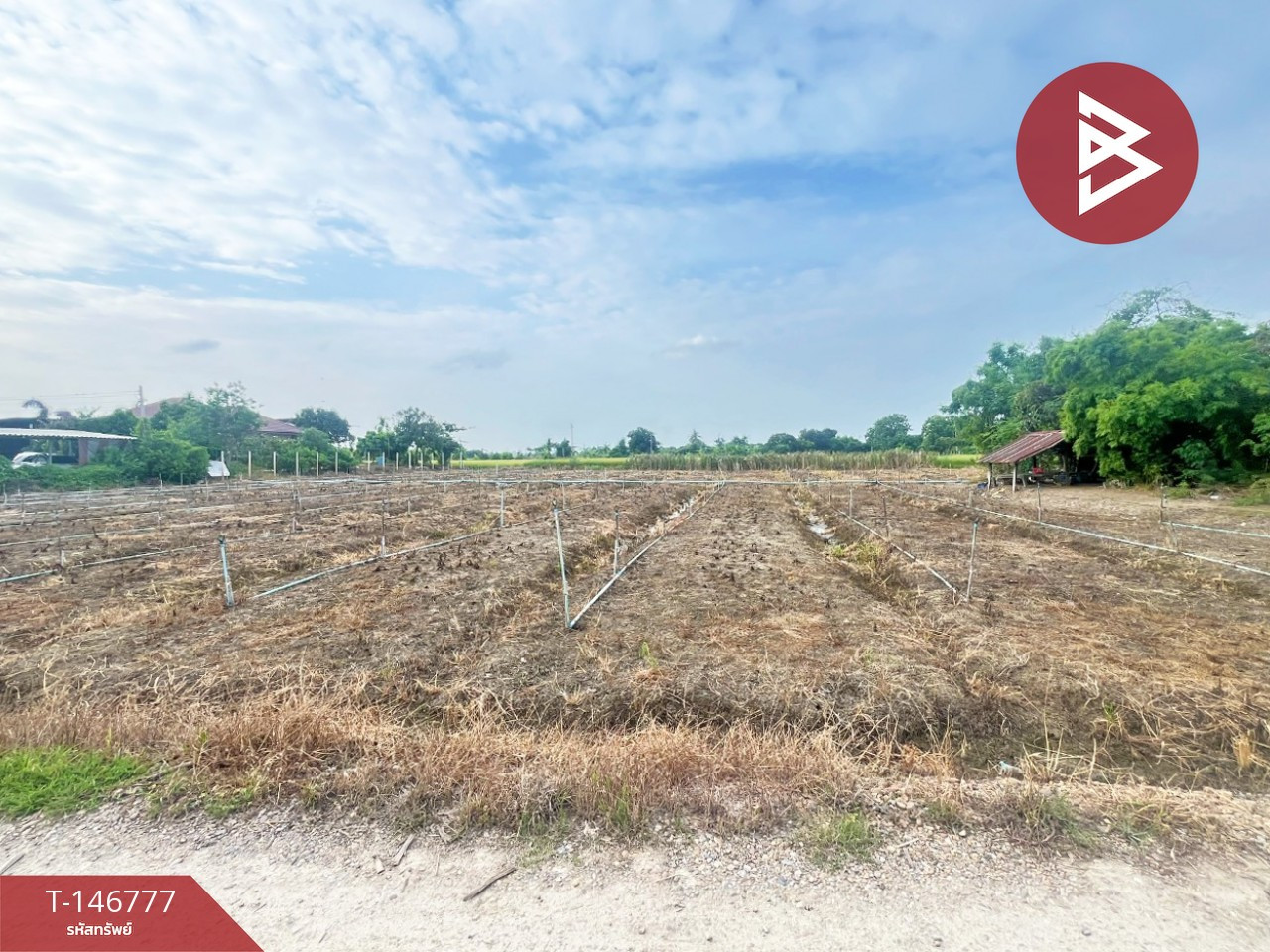 Empty land for sale, area 4 rai 3 ngan 3 sq m, Don Tum, Nakhon Pathom. Empty land for sale, area 4 rai 3 ngan 3 sq m, Don Tum, Nakhon Pathom.