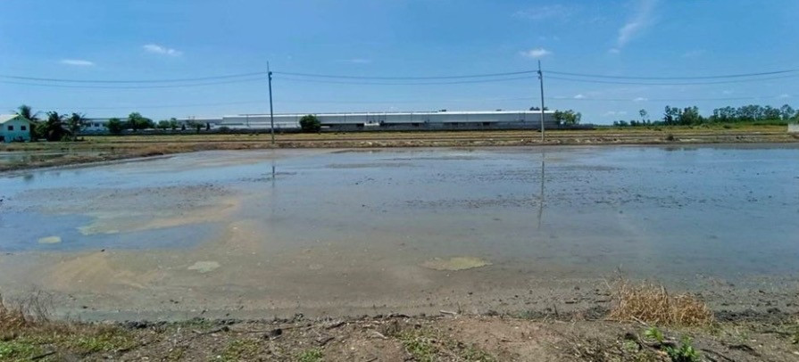 Land for sale in Khu Khwang Subdistrict Lat Lum Kaeo District, Pathum Thani, can build a factory, area 4 rai.