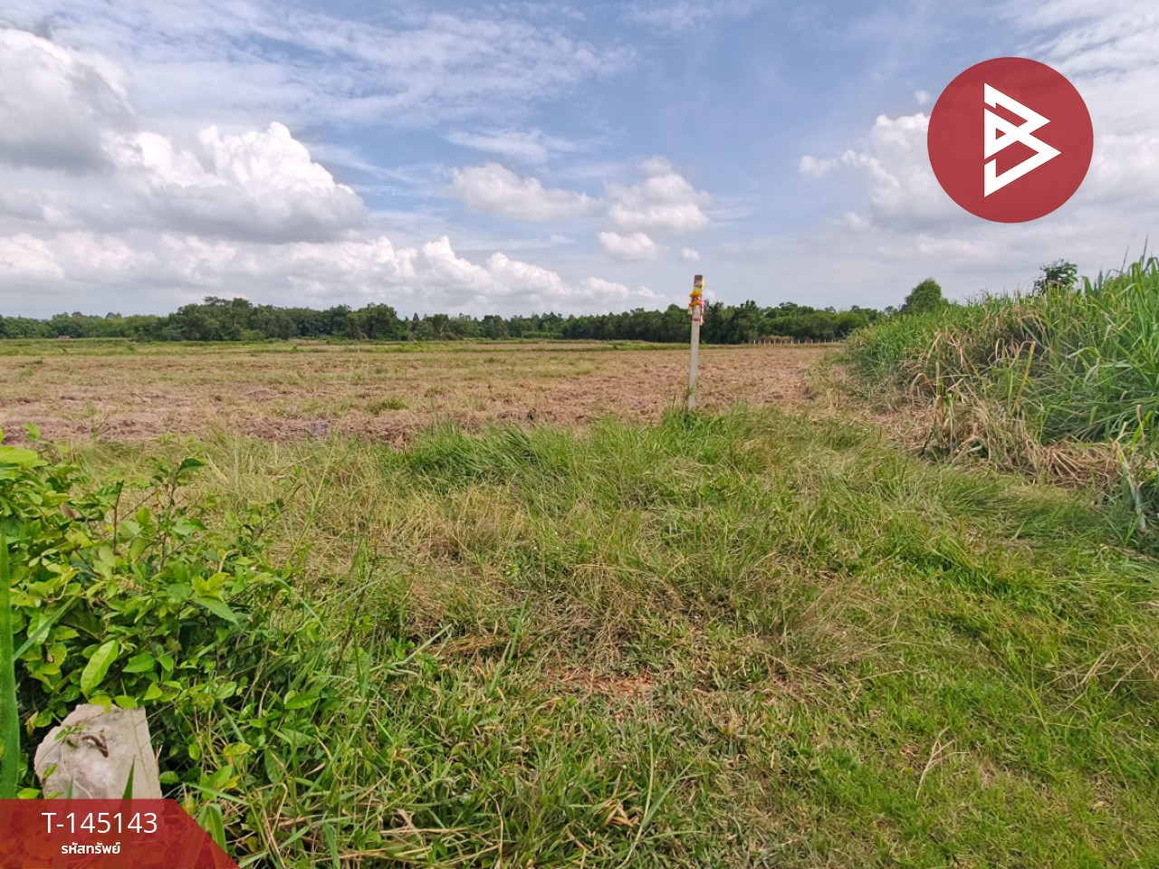 Land for sale, area 26 rai 96.6 sq m, Sanam Chai Khet, Chachoengsao. – รูปที่ 2