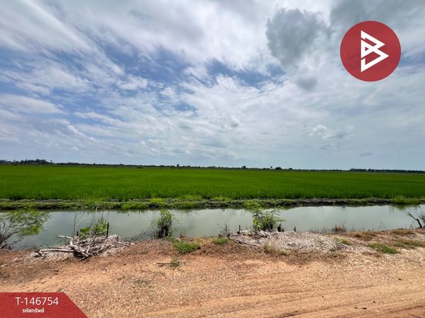 Land for sale, area 10 rai 3 ngan 56 sq m, Lat Bua Luang, Phra Nakhon Si Ayutthaya.