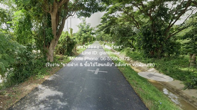 Rice field land for sale (green plan) 2-1-31 rai, Ban Lat District, Phetchaburi Province, price 5.82 million baht. Rice field land for sale (green plan) 2-1-31 rai, Ban Lat District, Phetchaburi Province, price 5.82 million baht.