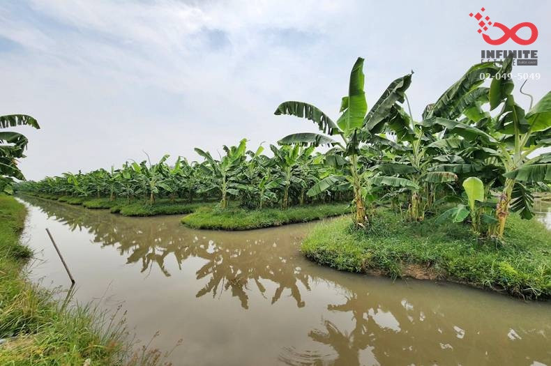 Land for sale, 44 rai, along Klong 11 Road, Nong Suea, Pathum Thani. – รูปที่ 3