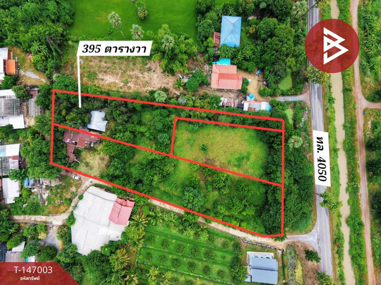 ขายบ้านเดี่ยวชั้นเดียว พร้อมที่ดิน 3 งาน 95 ตร.วา ต.เที่ยงแท้ อ.สรรคบุรี จ.ชัยนาท – รูปที่ 3