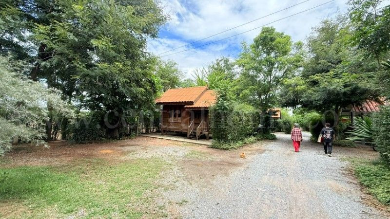 Land for sale 4 rai 2 ngan 29 square wah with resort (Na Muang Resort), Nong Ya Sai, Suphan Buri. – รูปที่ 4