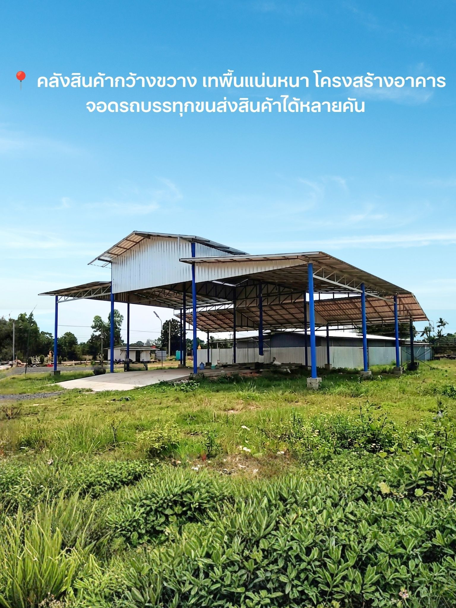 🚨 ด่วน! ขายโรงงานผลิตอาหาร (มีใบ สบ.1/1) + โกดังใหญ่ 4 ไร่เศษ หนองหงษ์ บุรีรัมย์ เริ่มกิจการได้ทันที! – รูปที่ 4