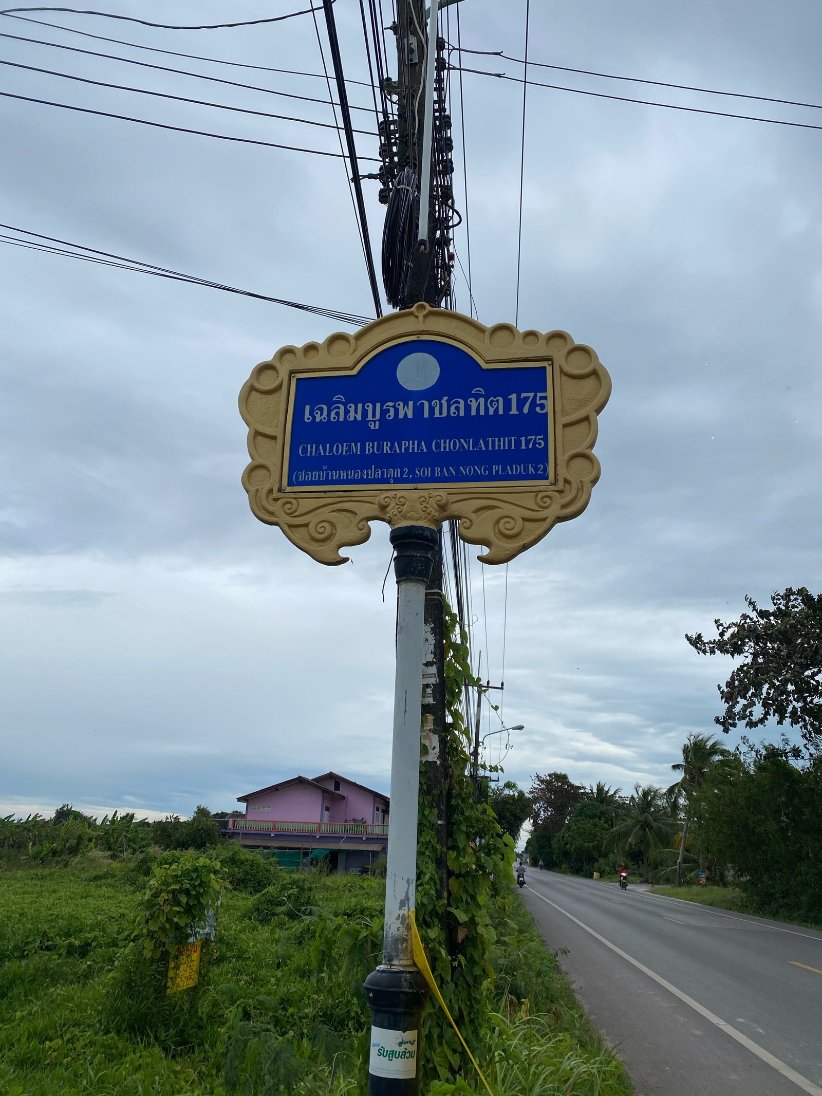 Land for sale, 5 rai, Chanthaburi, Laeng Sing – รูปที่ 4