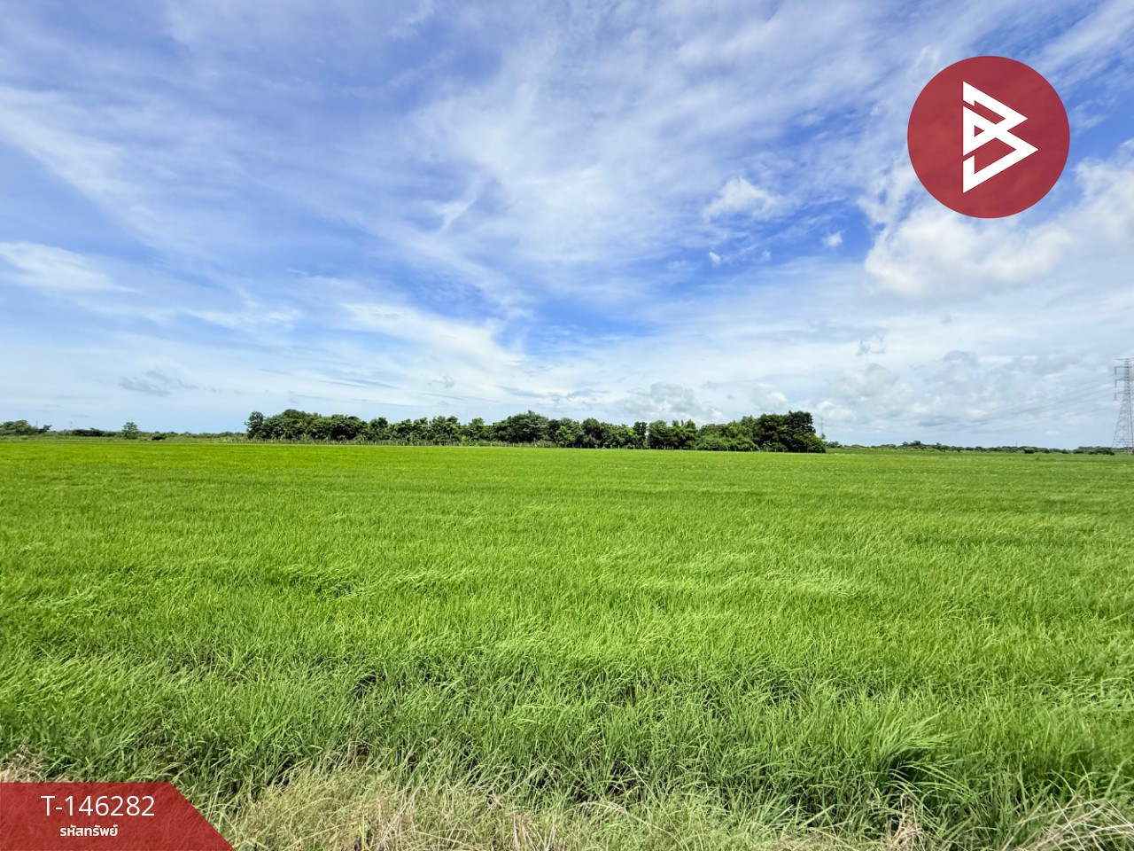 Land for sale, area 6 rai 1 ngan 59 sq m, Ban Mo, Saraburi Land for sale, area 6 rai 1 ngan 59 sq m, Ban Mo, Saraburi